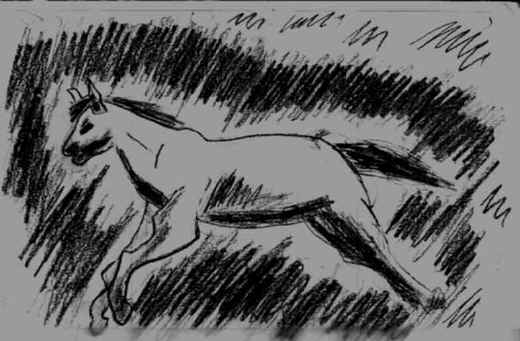 Cavalo.jpg (36981 bytes)