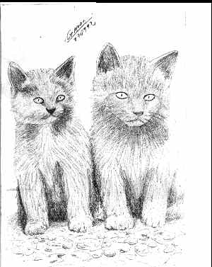 Gatos.jpg (16643 bytes)