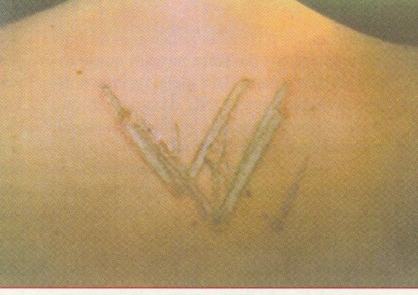 imagem UFO 68_23.JPG (43542 bytes)