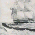 Serpente marinha